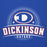 Close-up view of Dickinson High School Gators Royal Blue Premium Unisex Hoodie 221