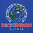 Close-up view of Dickinson High School Gators Royal Blue Premium Unisex Hoodie 226