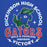 Close-up view of Dickinson High School Gators Royal Blue Premium Unisex Hoodie 206