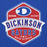 Close-up view of Dickinson High School Gators Royal Blue Premium Unisex Hoodie 209
