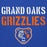 Close-up view of Grand Oaks High School Grizzlies Royal Blue Premium Unisex Hoodie 017