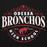 Close-up view of Odessa High School Bronchos Black Premium Unisex Hoodie 211