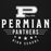 Close-up view of Permian High School Panthers Black Premium Unisex Hoodie 217