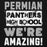 Close-up view of Permian High School Panthers Black Premium Unisex Hoodie 231