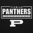 Permian Panthers High School logo with a large 'P' on a black background - premium hoodie design 049