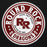 Close-up view of Round Rock High School Dragons Black Premium Unisex Hoodie 220