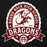 Close-up view of Round Rock High School Dragons Black Premium Unisex Hoodie 212