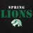Close-up view of Spring High School Lions Black Premium Unisex Hoodie 017