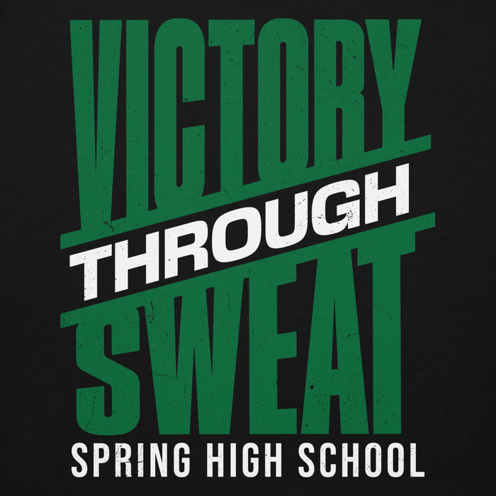 Close-up view of Spring High School Lions Black Premium Unisex Hoodie 241