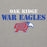 Close-up view of Oak Ridge High School War Eagles Grey Premium Unisex Hoodie 017
