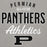 Gray hoodie with 'Permian All-Star Panthers Athletics' text and logo on a gray background - design 034