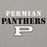 Gray background with 'PERMIAN PANTHERS' text and a large 'P' logo. - Premium hoodie design 017