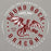 Close-up view of Round Rock High School Dragons Grey Premium Unisex Hoodie 214