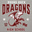 Close-up view of Round Rock High School Dragons Grey Premium Unisex Hoodie 213