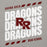 Close-up view of Round Rock High School Dragons Grey Premium Unisex Hoodie 223