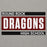Close-up view of Round Rock High School Dragons Grey Premium Unisex Hoodie 098