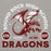 Close-up view of Round Rock High School Dragons Grey Premium Unisex Hoodie 208