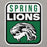 Close-up view of Spring High School Lions Grey Premium Unisex Hoodie 001