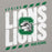 Close-up view of Spring High School Lions Grey Premium Unisex Hoodie 223