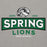 Close-up view of Spring High School Lions Grey Premium Unisex Hoodie 202