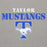 Close-up view of Taylor High School Mustangs Grey Premium Unisex Hoodie 017