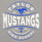 Close-up view of Taylor High School Mustangs Grey Premium Unisex Hoodie 218