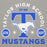 Close-up view of Taylor High School Mustangs Grey Premium Unisex Hoodie 208