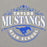 Close-up view of Taylor High School Mustangs Grey Premium Unisex Hoodie 211