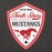 Close-up view of North Shore High School Mustangs Dark Heather Grey Premium Unisex Hoodie 225