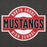 Close-up view of North Shore High School Mustangs Dark Heather Grey Premium Unisex Hoodie 011