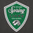 Close-up view of Spring High School Lions Dark Grey Heather Premium Unisex Hoodie 225