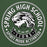 Close-up view of Spring High School Lions Forest Green Premium Unisex Hoodie 215