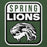 Close-up view of Spring High School Lions Forest Green Premium Unisex Hoodie 001