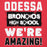 Close-up view of Odessa High School Bronchos Red Premium Unisex Hoodie 231