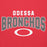 Close-up view of Odessa High School Bronchos Red Premium Unisex Hoodie 234