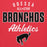 Close-up view of Odessa High School Bronchos Red Premium Unisex Hoodie 034