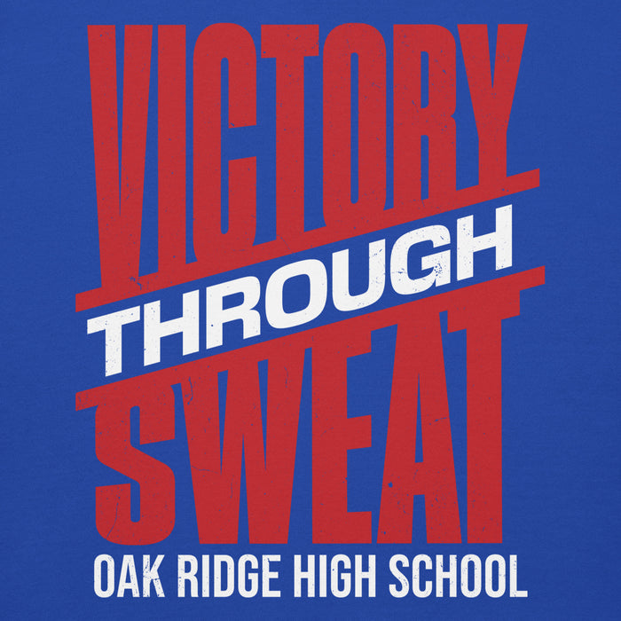 Close-up view of Oak Ridge High School War Eagles Royal Blue Premium Unisex Hoodie 241