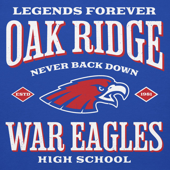 Close-up view of Oak Ridge High School War Eagles Royal Blue Premium Unisex Hoodie 230