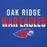 Close-up view of Oak Ridge High School War Eagles Royal Blue Premium Unisex Hoodie 024