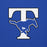 Close-up view of Taylor High School Mustangs Royal Blue Premium Unisex Hoodie 200