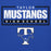 Close-up view of Taylor High School Mustangs Royal Blue Premium Unisex Hoodie 049
