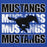 Close-up view of Taylor High School Mustangs Royal Blue Premium Unisex Hoodie 233