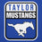 Close-up view of Taylor High School Mustangs Royal Blue Premium Unisex Hoodie 001