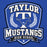Close-up view of Taylor High School Mustangs Royal Blue Premium Unisex Hoodie 020