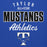 Close-up view of Taylor High School Mustangs Royal Blue Premium Unisex Hoodie 034