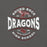 Close-up view of Round Rock High School Dragons Dark Grey Premium Unisex T-shirt 218
