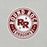 Close-up view of Round Rock High School Dragons Grey Premium Unisex T-shirt 220