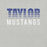 Close-up view of Taylor High School Mustangs Grey Premium Unisex T-shirt 024