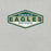 Close-up view of Cypress Falls High School Eagles Heather Grey Premium Unisex T-shirt 009