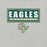 Close-up view of Cypress Falls High School Eagles Heather Grey Premium Unisex T-shirt 049